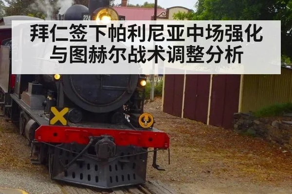 拜仁签下帕利尼亚中场强化与图赫尔战术调整分析