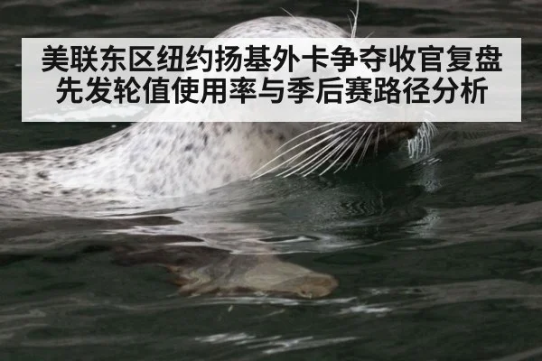 美联东区纽约扬基外卡争夺收官复盘 先发轮值使用率与季后赛路径分析